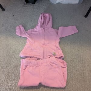 Carhartt Pink Hoodie